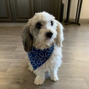 Meet your Posher, Esmirna